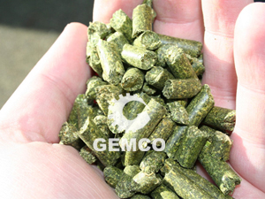 青秸稈經(jīng)飼料顆粒機(jī)壓制成的顆粒 青秸稈經(jīng)飼料顆粒機(jī)壓制成的顆粒