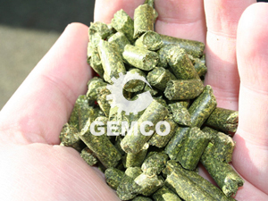 秸稈飼料顆粒機(jī)壓制的顆粒 秸稈飼料顆粒機(jī)壓制的顆粒