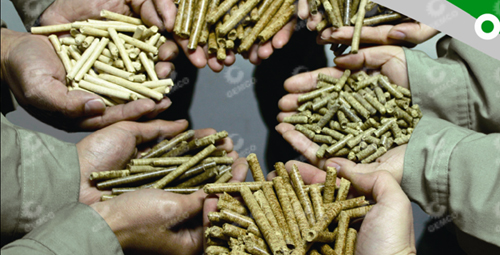 生物質(zhì)顆粒 生物質(zhì)顆粒