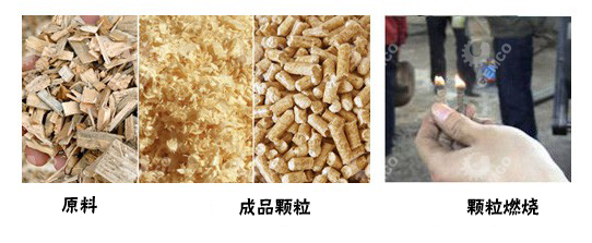 生物質(zhì)燃料 生物質(zhì)燃料